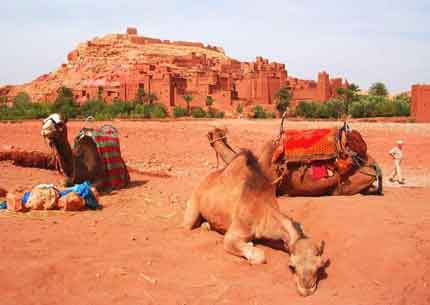 Ait ben Haddou Day Trip